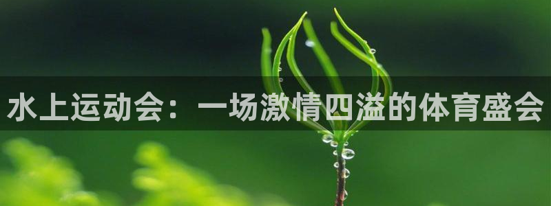 水上运动会：一场激情四溢的体育盛会