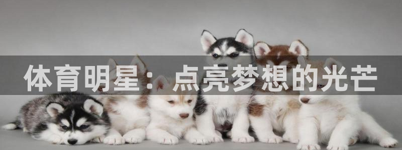 体育明星：点亮梦想的光芒