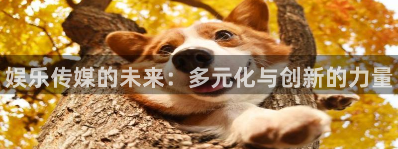 娱乐传媒的未来：多元化与创新的力量