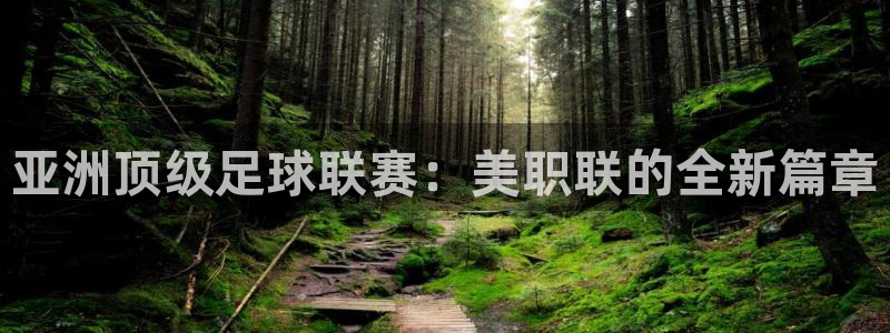 亚洲顶级足球联赛：美职联的全新篇章