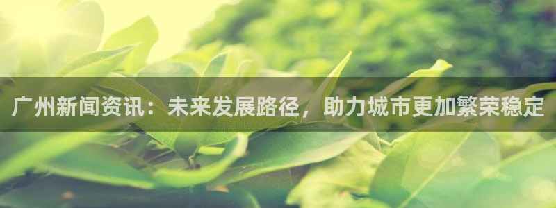 广州新闻资讯：未来发展路径，助力城市更加