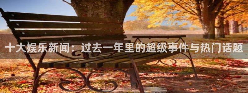 十大娱乐新闻：过去一年里的超级事件与热门